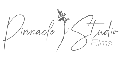 Pinnacle Studio