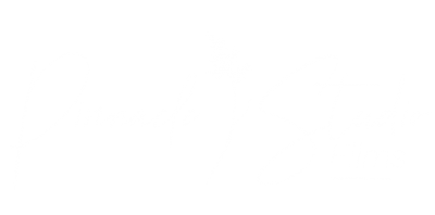 Pinnacle Studio